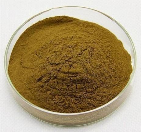 ��ɐ������