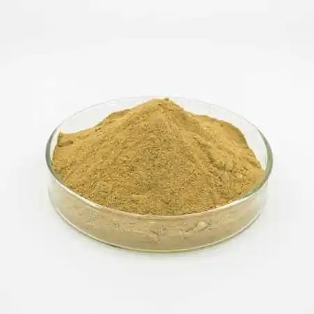 �Ե�����