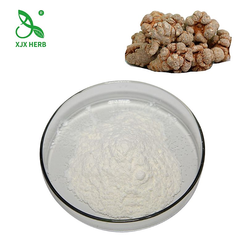 ���߿�����