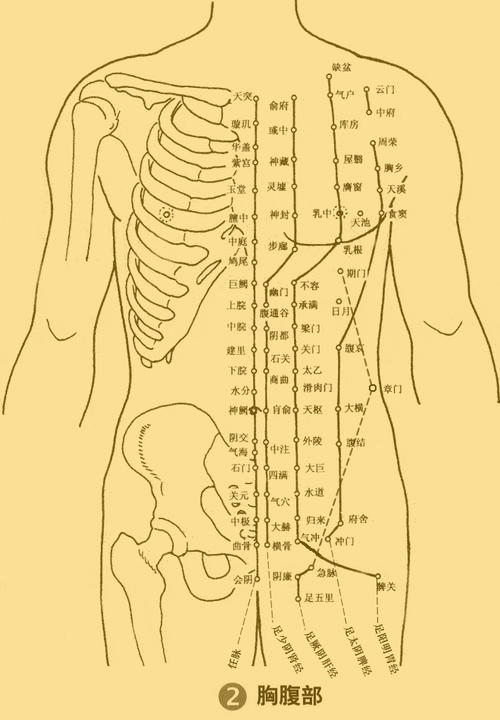 三伏貼作用 三伏貼作用